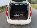 Skoda Roomster Roomster Ambiente 1,2 TSI Ambiente Weiß - thumbnail 12