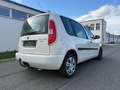 Skoda Roomster Roomster Ambiente 1,2 TSI Ambiente Weiß - thumbnail 7
