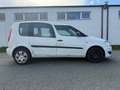 Skoda Roomster Roomster Ambiente 1,2 TSI Ambiente Weiß - thumbnail 6
