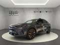 CUPRA Formentor LED Winterpaket Full Link Kamera PDC v+hi Panodach Gris - thumbnail 3