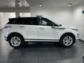 Land Rover Range Rover Evoque 1.5 Turbo MHEV 2WD P160 HSE Wit - thumbnail 12