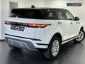 Land Rover Range Rover Evoque 1.5 Turbo MHEV 2WD P160 HSE Wit - thumbnail 5