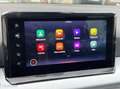 SEAT Ibiza 1.0 tsi 95ch urban bvm5 gps-carplay-radar de recul-clim auto Gris - thumbnail 20