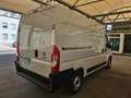 Fiat Ducato L2H2 Hochraumkasten Klima Weiß - thumbnail 4
