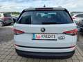 Skoda Kodiaq 2,0 TDI SCR 4x4 Style DSG 7 Sitze Weiß - thumbnail 7
