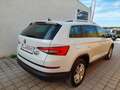 Skoda Kodiaq 2,0 TDI SCR 4x4 Style DSG 7 Sitze Weiß - thumbnail 6
