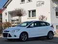 Ford Focus Lim. Sync Edition|Scheckheft|Garantie|Temp Weiß - thumbnail 1