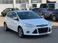 Ford Focus Lim. Sync Edition|Scheckheft|Garantie|Temp Weiß - thumbnail 3