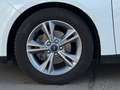 Ford Focus Lim. Sync Edition|Scheckheft|Garantie|Temp Weiß - thumbnail 8
