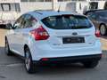 Ford Focus Lim. Sync Edition|Scheckheft|Garantie|Temp Weiß - thumbnail 5