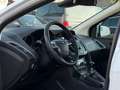 Ford Focus Lim. Sync Edition|Scheckheft|Garantie|Temp Weiß - thumbnail 18