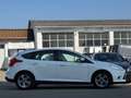 Ford Focus Lim. Sync Edition|Scheckheft|Garantie|Temp Weiß - thumbnail 4