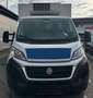 Fiat Ducato  *TIEFKÜHLKOFFER* *NETTO 29.165€* Weiß - thumbnail 3