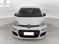 Fiat Panda Panda 1.2 Easy Blanc - thumbnail 2