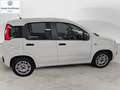 Fiat Panda Panda 1.2 Easy Blanc - thumbnail 4