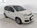 Fiat Panda Panda 1.2 Easy Blanc - thumbnail 3