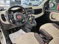 Fiat Panda Panda 1.2 Easy Blanc - thumbnail 12