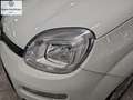 Fiat Panda Panda 1.2 Easy Blanc - thumbnail 7