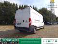 Fiat Ducato 35 LH2 2.2 mjt3 140cv serie 8 Bianco - thumbnail 7