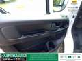 Fiat Ducato 35 LH2 2.2 mjt3 140cv serie 8 Bianco - thumbnail 9