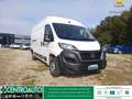Fiat Ducato 35 LH2 2.2 mjt3 140cv serie 8 Bianco - thumbnail 1