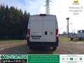 Fiat Ducato 35 LH2 2.2 mjt3 140cv serie 8 Bianco - thumbnail 6