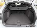 Volkswagen Golf VIII 1.5 TSI R-Line Pano 18 Zoll Area View AHK Bla Blau - thumbnail 13