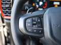 Ford Ranger Raptor 2.0 EcoBlue Doppelkabine Grau - thumbnail 18