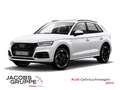 Audi Q5 40 TDI quattro sport Pano*LED*R-Kamera * Weiß - thumbnail 1