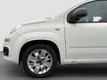 Fiat Panda Easy/1.Hand/Klima/TÜV/unfallfrei/Euro 6/ Weiß - thumbnail 9