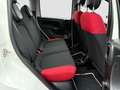 Fiat Panda Easy/1.Hand/Klima/TÜV/unfallfrei/Euro 6/ Weiß - thumbnail 14