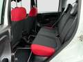Fiat Panda Easy/1.Hand/Klima/TÜV/unfallfrei/Euro 6/ Weiß - thumbnail 13