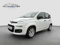 Fiat Panda Easy/1.Hand/Klima/TÜV/unfallfrei/Euro 6/ Weiß - thumbnail 1