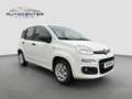Fiat Panda Easy/1.Hand/Klima/TÜV/unfallfrei/Euro 6/ Weiß - thumbnail 2