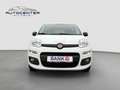 Fiat Panda Easy/1.Hand/Klima/TÜV/unfallfrei/Euro 6/ Weiß - thumbnail 7