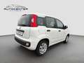 Fiat Panda Easy/1.Hand/Klima/TÜV/unfallfrei/Euro 6/ Weiß - thumbnail 6