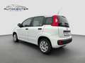 Fiat Panda Easy/1.Hand/Klima/TÜV/unfallfrei/Euro 6/ Weiß - thumbnail 5