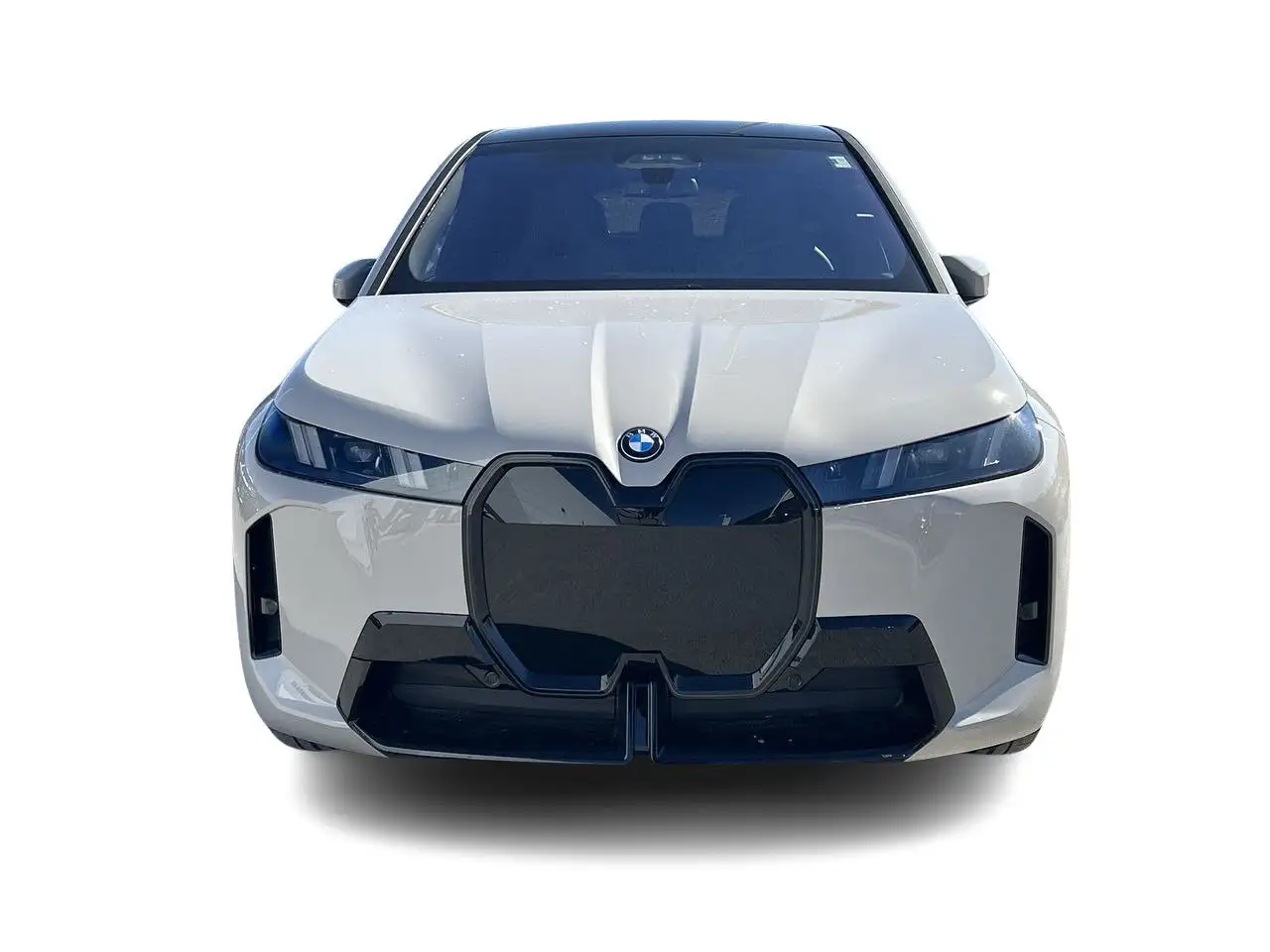 BMW iX снимка BMW iX