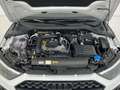 Audi A1 Sportback 30 TFSI Adrenalin Black edition Blanco - thumbnail 11