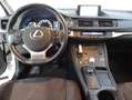 Lexus CT 200h Business Blanco - thumbnail 6