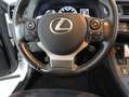 Lexus CT 200h Business Blanco - thumbnail 10