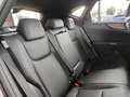 Lexus NX 350h F Sport SPORT HUD DynLi Leder SpurH LM bijela - thumbnail 11