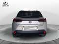 Lexus UX 250h UX Hybrid Premium Grigio - thumbnail 6