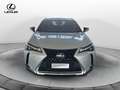 Lexus UX 250h UX Hybrid Premium Grigio - thumbnail 2