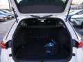 Skoda Octavia Combi 2.0 TDI RS NAVI AHK ACC HUD LED Weiß - thumbnail 21
