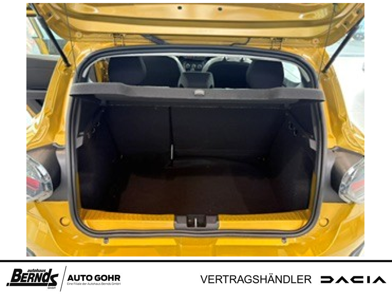 Dacia Sandero Stepway TCe 110 Expression Navi Winter — photo 7