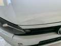 Volkswagen Polo Netto 7.000,00 Weiß - thumbnail 11