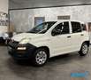 Fiat Panda 1.2 Van 2 posti *PREZZO+IVA* Bianco - thumbnail 3