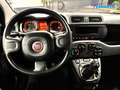 Fiat Panda 1.2 Van 2 posti *PREZZO+IVA* Bianco - thumbnail 11