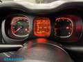 Fiat Panda 1.2 Van 2 posti *PREZZO+IVA* Bianco - thumbnail 12